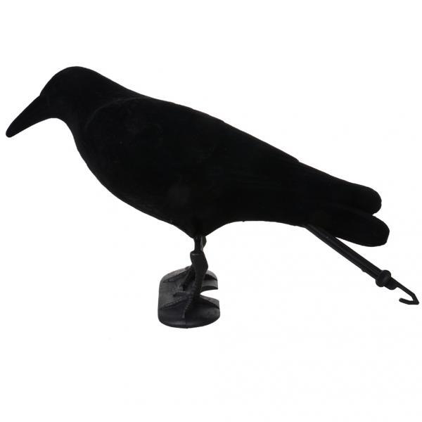 Piège à Corbeaux en Forme d'An - Hunting And Outdoor Supplies avis et prix