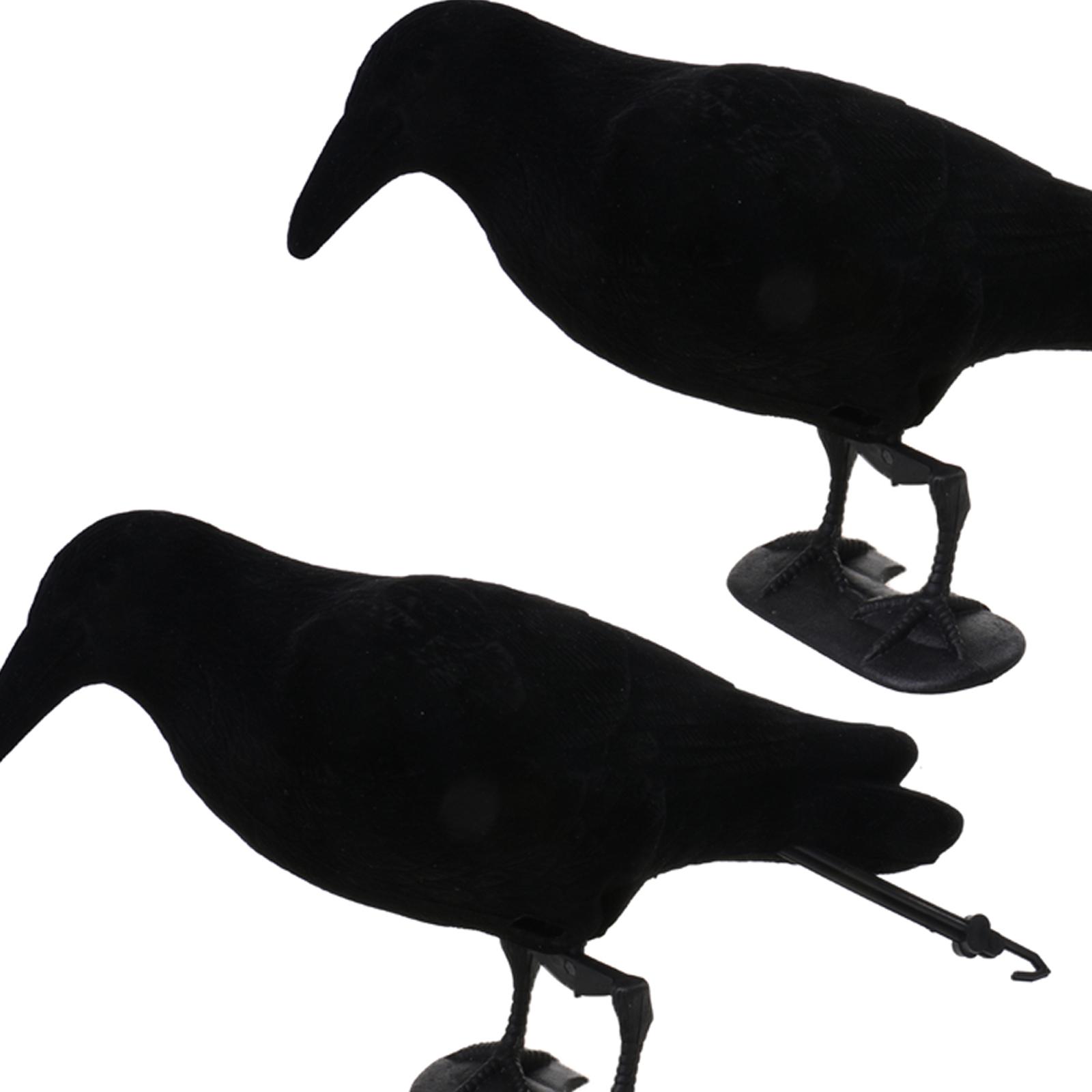 Piège à Corbeaux en Forme d'An - Hunting And Outdoor Supplies avis et prix